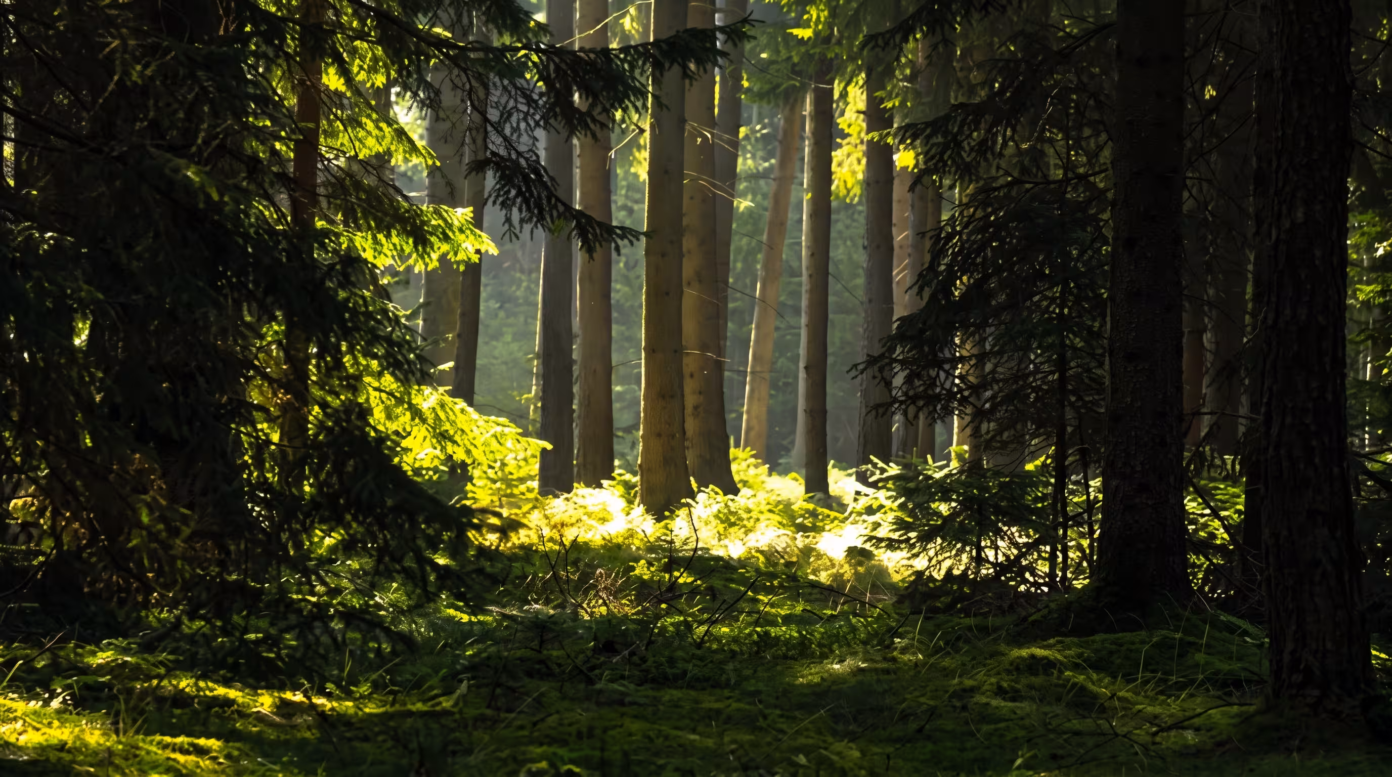 choosing-and-purchasing-the-land-plot-contact-title